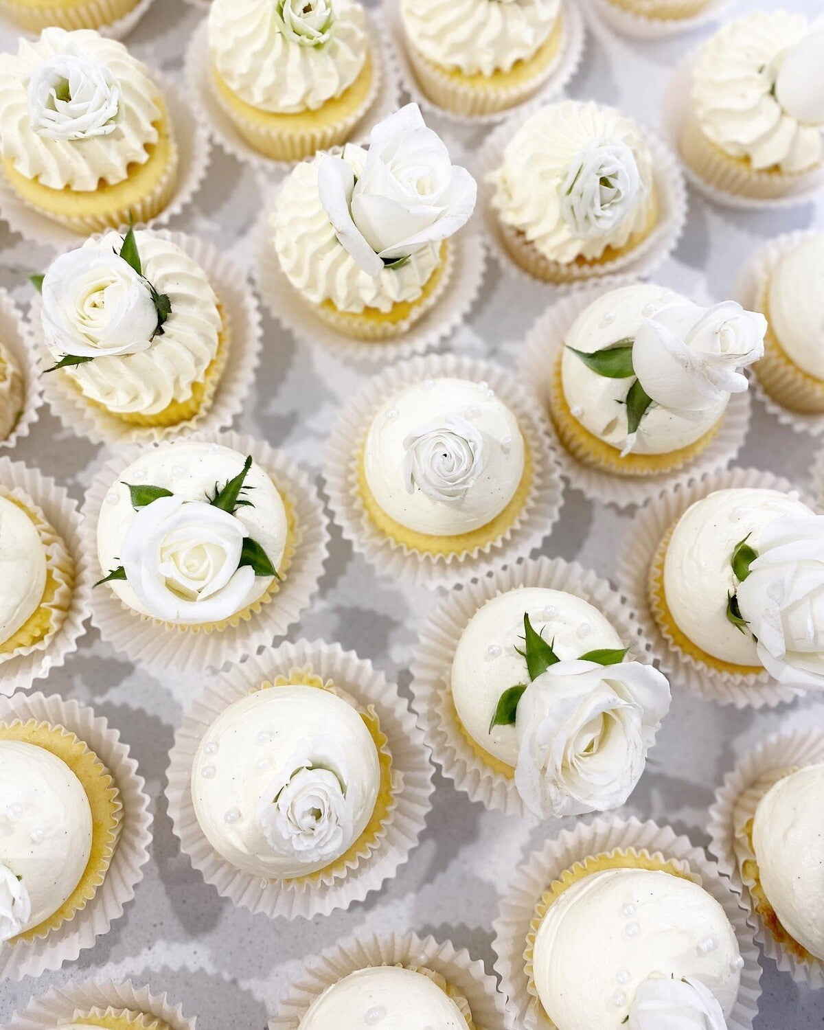 cream cute & classy cupcakes